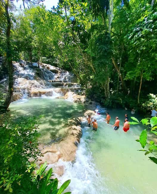 Dunn's River Falls and Zipline Adventure - A Closer Look at What to Expect