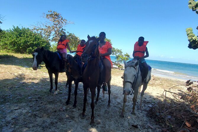 Dunn's River Falls Climb, Zipline and Horseback Riding Private Tour - A Closer Look at the Itinerary and Experience