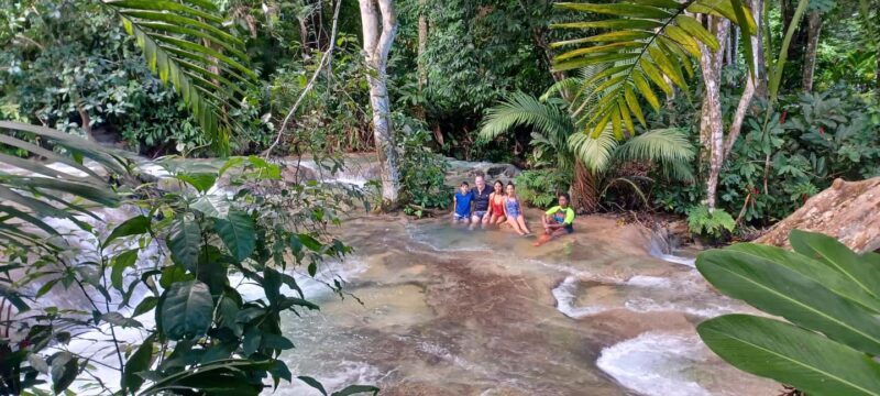 Dunns River Falls From Ocho Rios - An In-Depth Look at the Dunns River Falls Tour