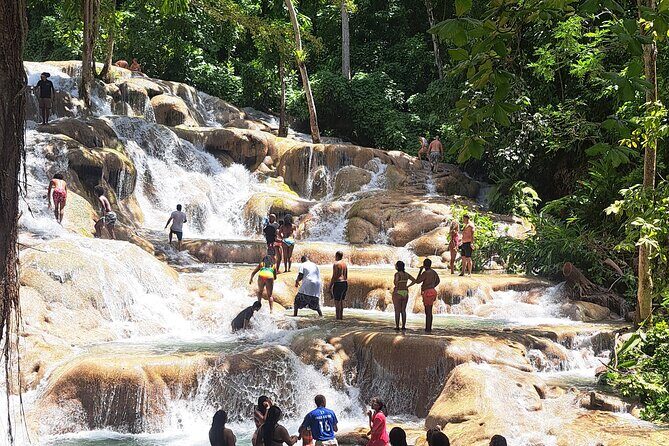 Dunn's River Falls & Island Village, Private Tour from Kingston - The Sum Up