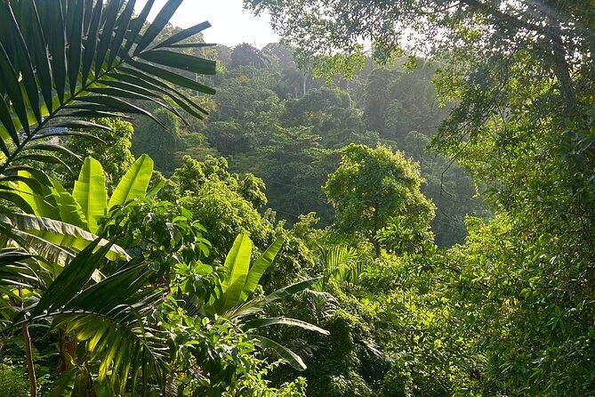 Dunns River Falls Mahogany Beach and Hilltop Lookout Tour - Key Points