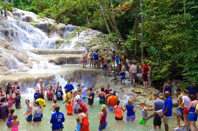 Dunn's River Falls/Ocho Rios from Falmouth Cruise Ship Pier/Hotel - What to Expect on the Tour