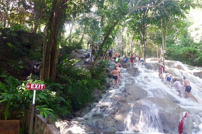 Dunns River Falls Private Day Tour - A Detailed Look at the Dunns River Falls Private Day Tour