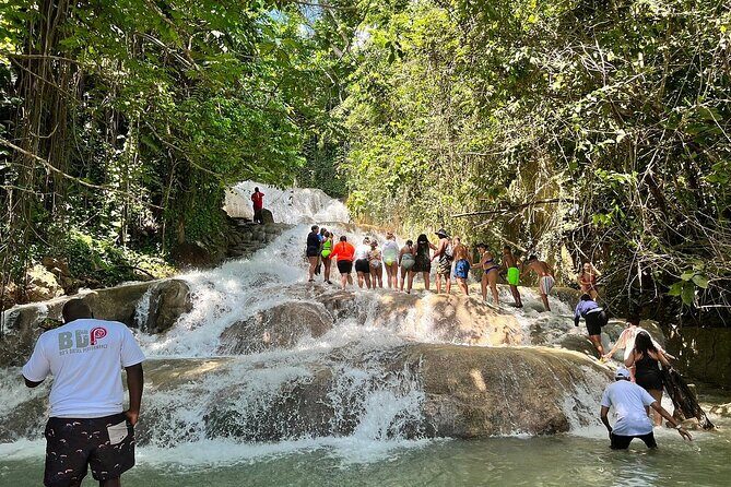 Dunns River Falls Private Tour ** {Entry Tickets Included }** - Exploring the Tour in Detail