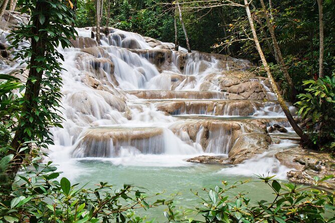 Dunn's River Falls Private Tour from Montego Bay - Experience the Best of Jamaica: Dunns River Falls Private Tour from Montego Bay
