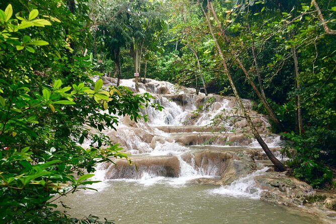 Dunn's River Falls Private Tour from Montego Bay - Who Should Consider This Tour?