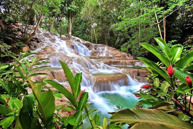 Dunn's river falls, shopping and lunch - Exploring the Highlights of Dunns River Falls and Beyond