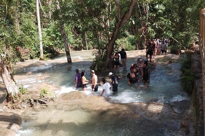 Dunns River Falls Taxi from Hotels and Airbnb/Villa in Ocho Rios - A Practical, Well-Organized Transportation Option in Ocho Rios