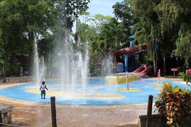 Dunn's River Falls Tour - The Experience: Authentic and Enjoyable
