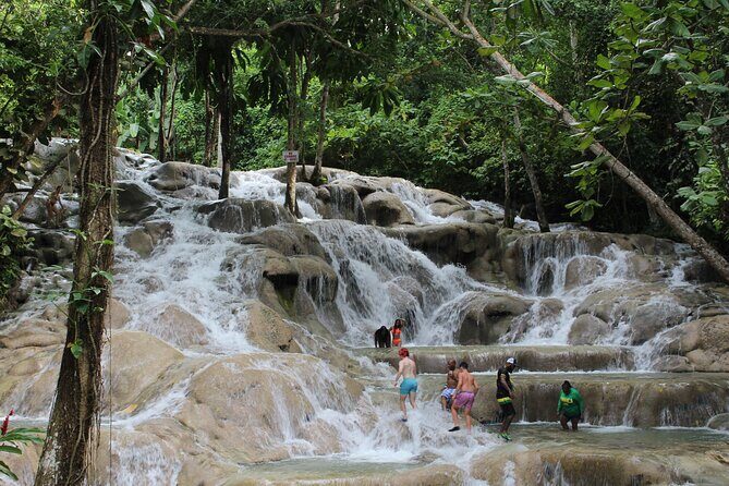 Dunn's River Falls Tour - Who Will Love This Tour?
