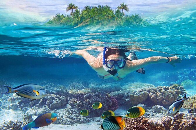 Dunn's River Falls with Catamaran Cruise Tour from Montego Bay - FAQ