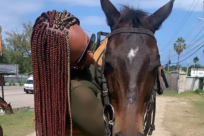 Dunns River Falls,Zip lining & horseback riding Combo tour from Montego Bay - The Sum Up