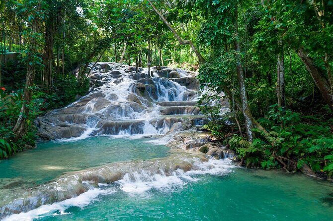 Dunn's River Private Tour from Montego Bay - An Authentic Day in Jamaica: Dunns River Private Tour from Montego Bay