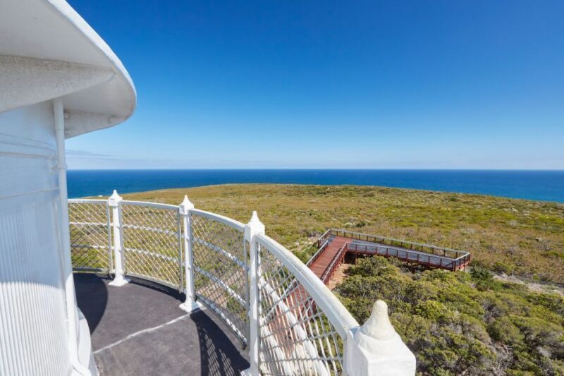 Dunsborough: Cape Naturaliste Lighthouse Guided Tour - Who Will Love This Tour?