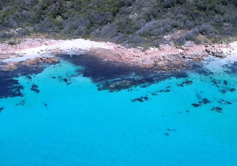 Dunsborough: Geographe Bay Eco & Snorkel Boat Tour - What We Loved