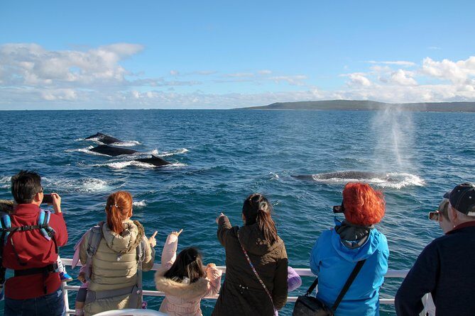 Dunsborough Whale Watching Eco Tour - Dunsborough Whale Watching Eco Tour: A Close Encounter with Marine Giants