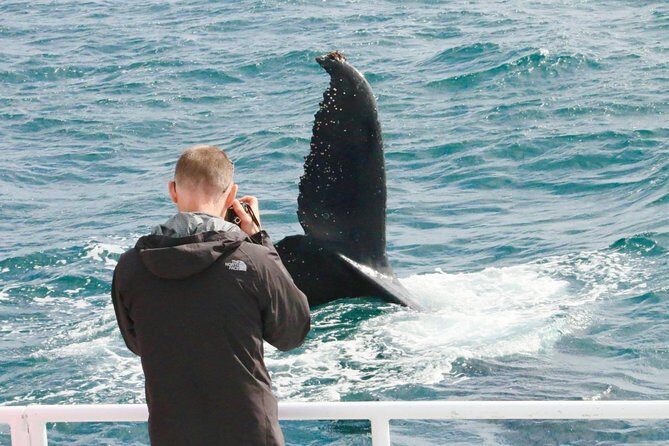 Dunsborough Whale Watching Eco Tour - Authentic Encounters and Authenticity