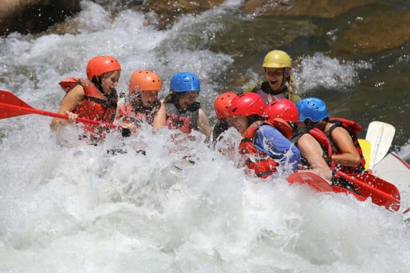 Durango 3/4 Day Rafting Trip with Lunch - Lower Animas River - Who Should Consider This Tour