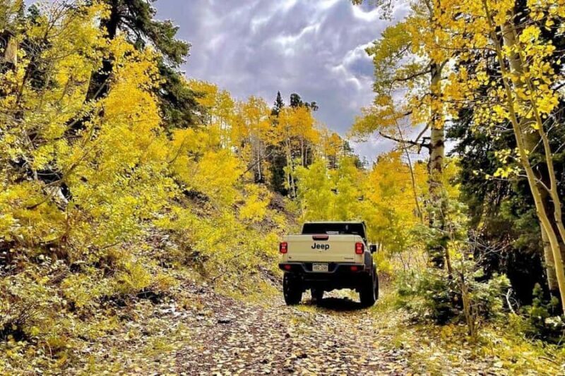 Durango: Custom Safari Jeep Trail Tour 5 Hours - Final Thoughts: Who Should Consider This Tour?