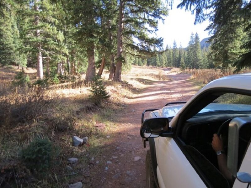 Durango: La Plata Canyon Scenic Waterfalls Jeep Tour - Authentic Reviews and What They Say
