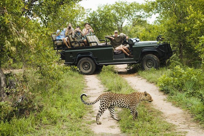 Durban: Big 5 Luxury Safari at an Award Winning Game Reserve  Zeiss Binoculars - A Deep Dive into the Experience