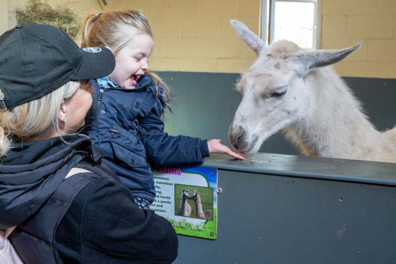 Durham: Adventure Valley Farm Park Entry Ticket - Key Points