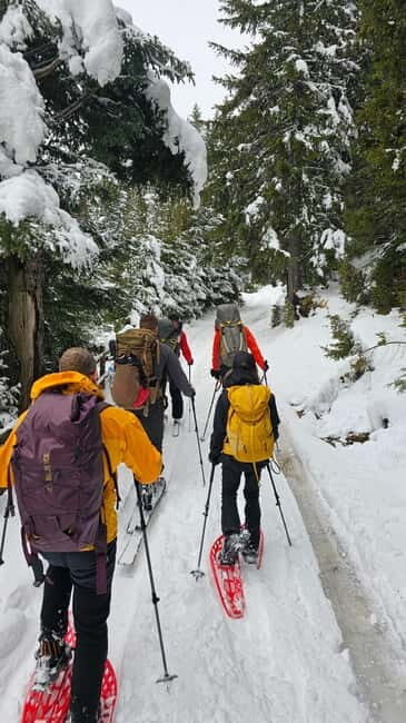 Durmitor National Park: Snowshoeing Hike to Base Camp - Authentic Insights from Participants