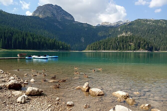 Durmitor NP private tour- Among Katuns, Shepherds and Geological Miracles - Authentic Experiences and Genuine Value