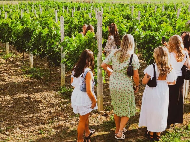 Durres Countryside Vineyards Wine & Food Tasting Tour - The Experience: An In-Depth Look