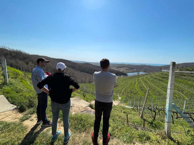 Durres & Wine Tasting Tour - In The Sum Up