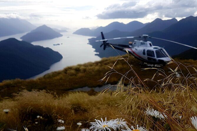 Dusky Sound // Helicopter Scenic Flight - An In-Depth Look at the Dusky Sound Helicopter Scenic Flight