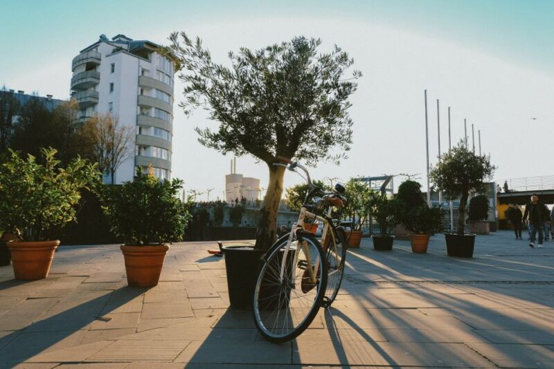 Dusseldorf: Express Walk with a Local in 60 minutes - The Sum Up