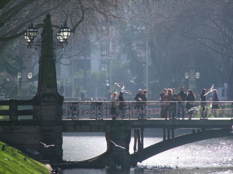 Düsseldorf: Private Walking Tour with a Professional Guide - The Value of This Tour