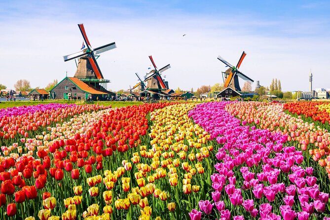Dutch Countryside and Zaanse Schans Windmills Private Tour - FAQ