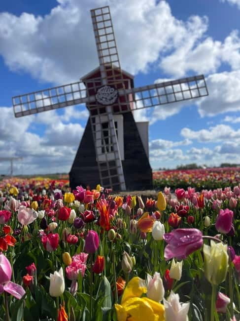 Dutch Countryside: , windmills, Villages, Cheese & Clogs - Practical Details and Recommendations