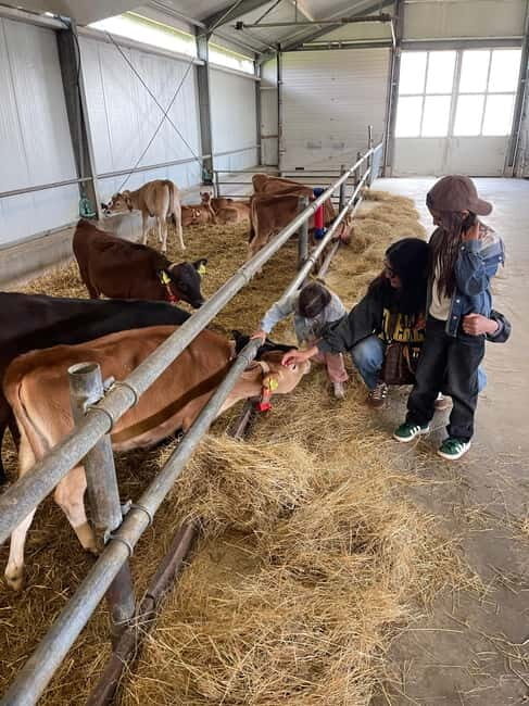 Dutch Countryside: , windmills, Villages, Cheese & Clogs - The Sum Up: Who Should Consider This Tour?