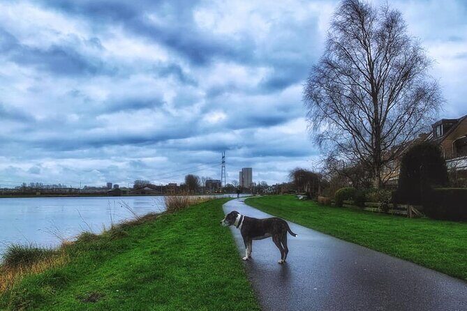 Dutch Windmills & Polder Walking Tour - Exploring the Leiden Windmill & Polder Landscape