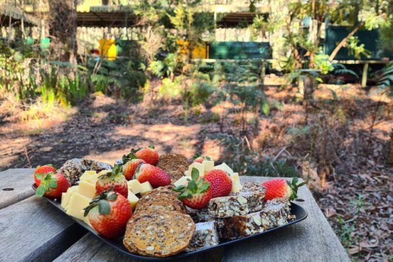 Dwellingup: Guided Hike and Scenic Train Ride with Lunch - Key Points