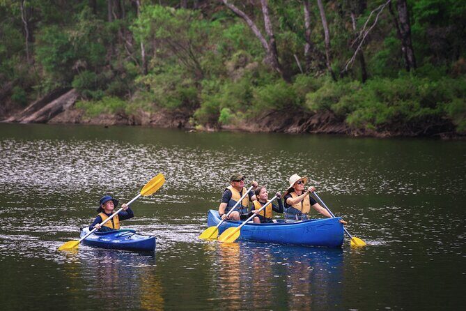 Dwellingup: Paddle and Picnic self-guided tour - A Peaceful Paddle and Picnic in Dwellingup
