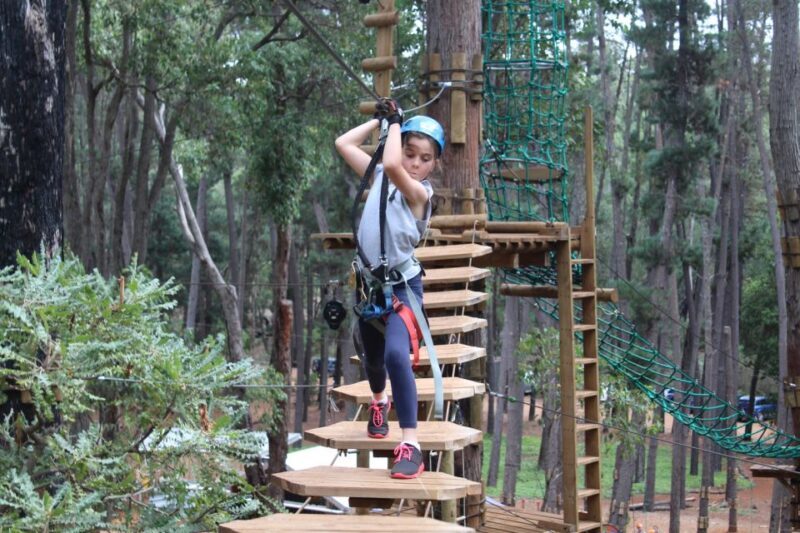 Dwellingup: Tree Ropes Course - Dwellingup: Tree Ropes Course — A High-Flying Adventure in Western Australia