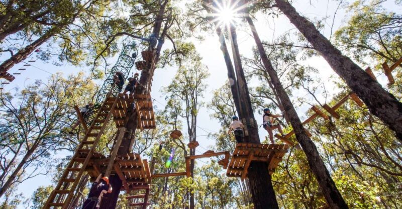 Dwellingup: Tree Ropes Course - Who Will Love This Experience?