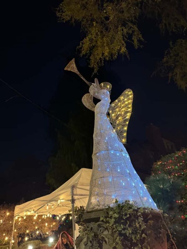 Dyker Heights Christmas Lights Bus Tour - Key Points