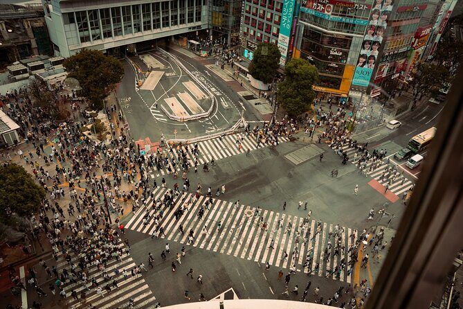 Dynamic Tokyo Private Custom Walking Tour - A Deep Dive into the Experience