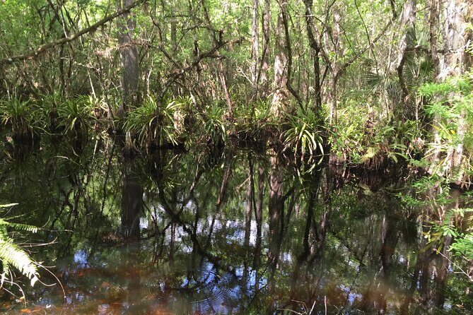 E-Bike Adventure - Fakahatchee Strand - FAQ