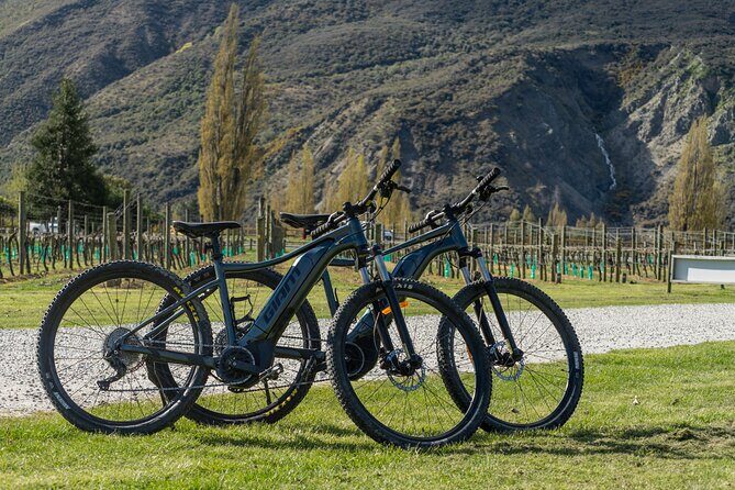 E-Bike Adventures Through the Wineries in Gibbston - Exploring the Route and Highlights