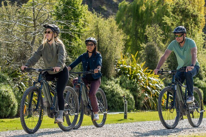 E-Bike Adventures Through the Wineries in Gibbston - Who Is This Tour Best For?