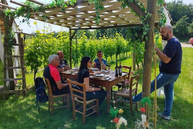 E-Bike and tour from Lonato del Garda with Wine Tasting - A Scenic Ride Through History and Vineyards: E-Bike and Wine Tasting Tour from Lonato del Garda