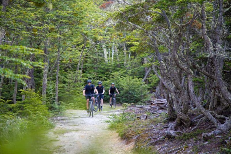 E-BIKE Beagle Viewpoint - Frequently Asked Questions