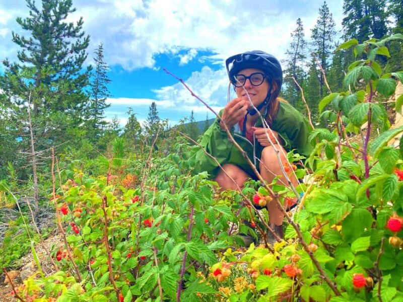 E-Bike & Brews: Denver's Platte River & Brewery E-Bike Tour - Key Points