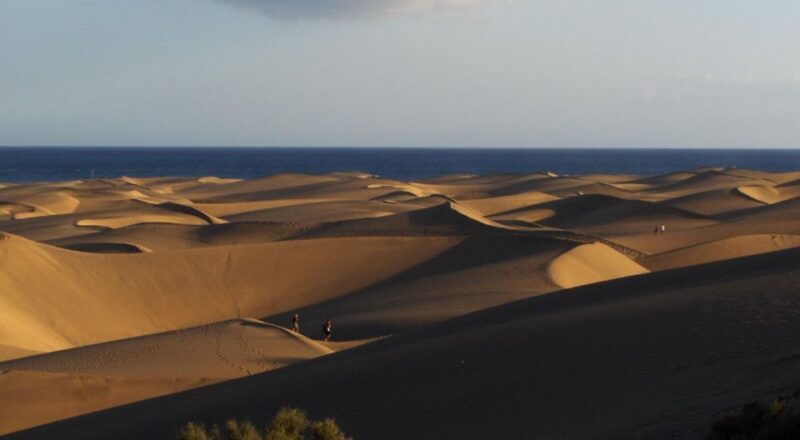 E-Bike City Tour included Camel Tour inside Maspalomas Dunes - Key Points